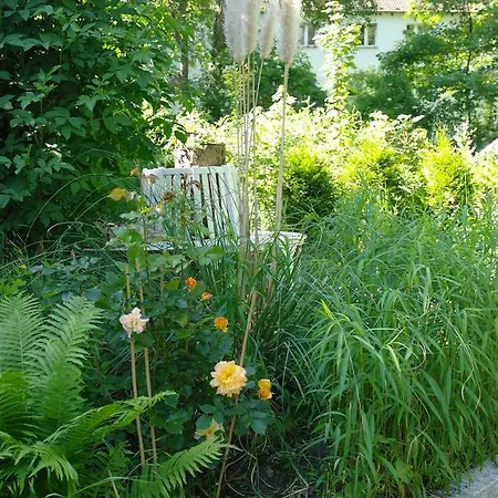 Haus Im Gruenen - Huerth Fischenich